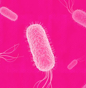 ¡Conozcamos a las Superbacterias!